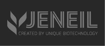 Webdesign Karlsruhe Logo vom Kunden jeneil